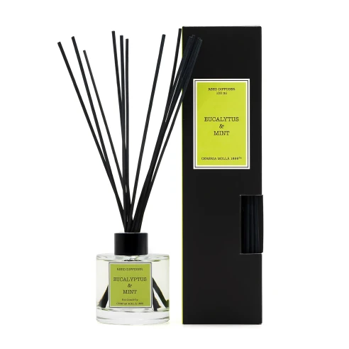 Eucalyptus & Mint - Mikado 100 ml.