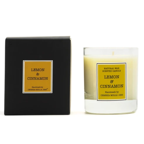 Lemon & Cinnamon - Vela Perfumada 230 g.