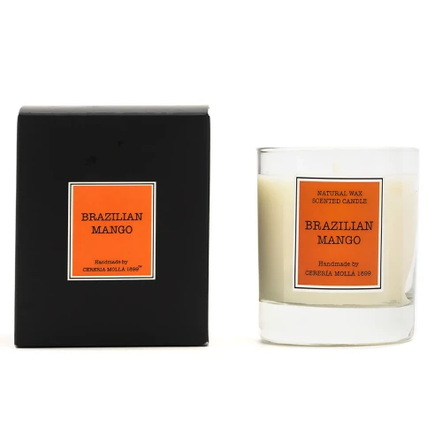 Brazilian Mango - Vela Perfumada 230 g.