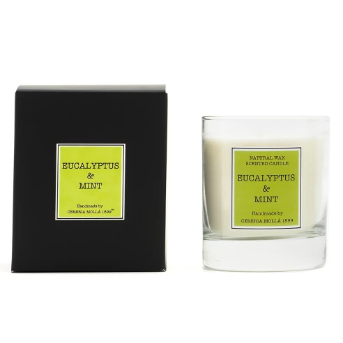 Eucalyptus & Mint - Vela Perfumada 230 g.